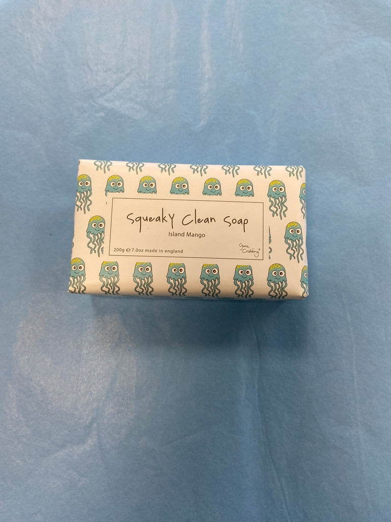 Squeaky Clean Soap – VisitPlymouth